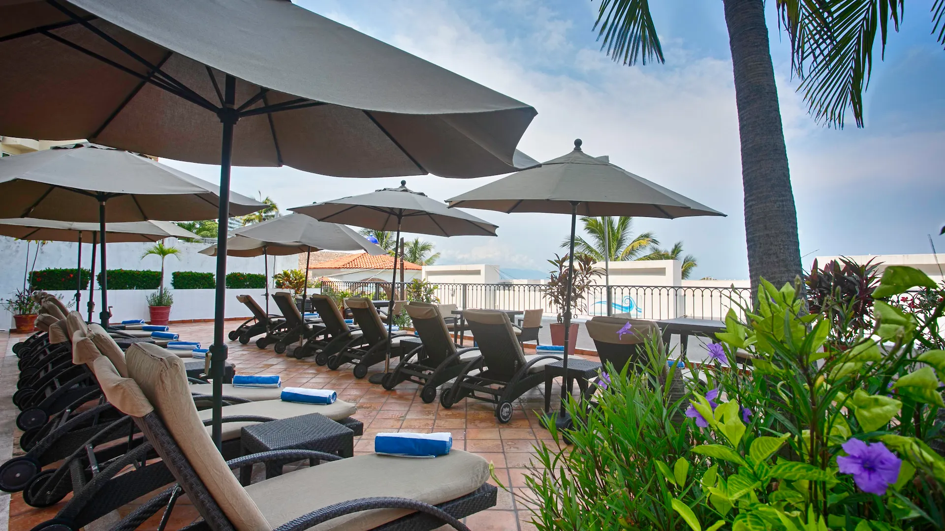 One Beach Street Zona Romantica Пуэрто-Вальярта Отель